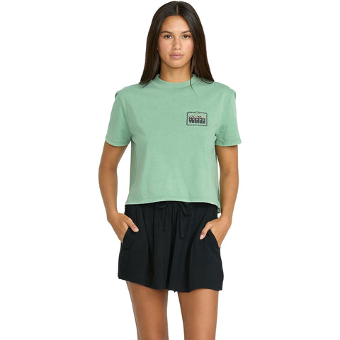Volcom Womens Stoneshine Shorts in Black