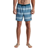 Roark Mens Shorey Deep Roots Boardshorts in herringbone cosmica