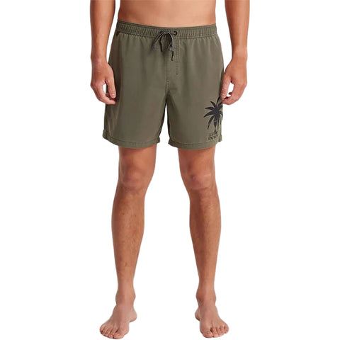 Roark Mens Shorey Boardshorts in military