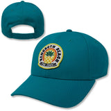 Edge Sunset Pineapple Snapback Hat in teal